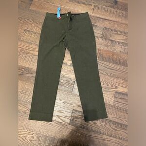 Banana Republic Sloan Pants